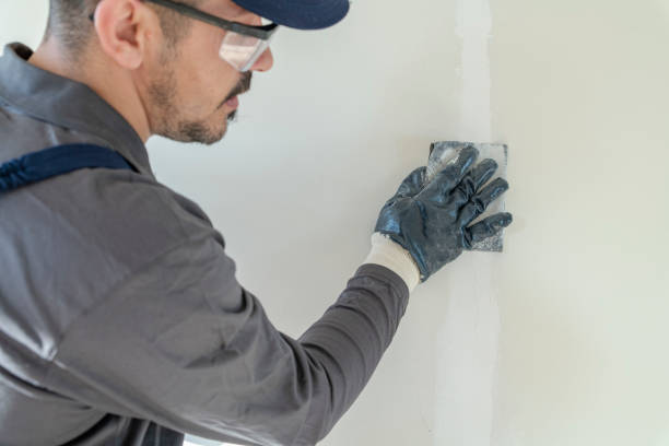 Best Drywall Sanding and Smoothing  in Palos Hls, IL